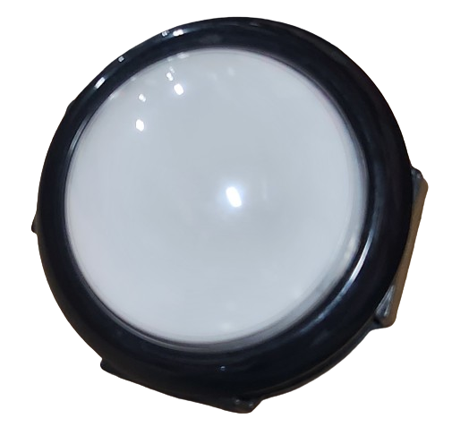 Pushbutton (BLC-BL-TN-100)
