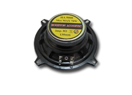 Large Speaker